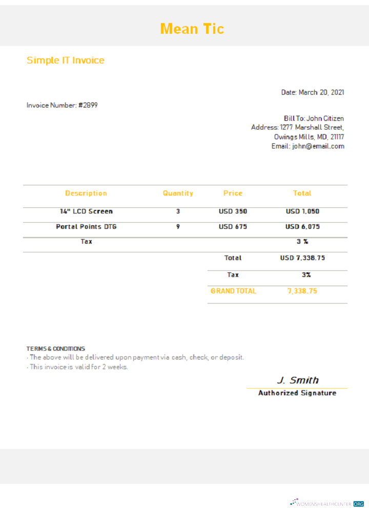 Download USA Mean Tic invoice Photoshop template